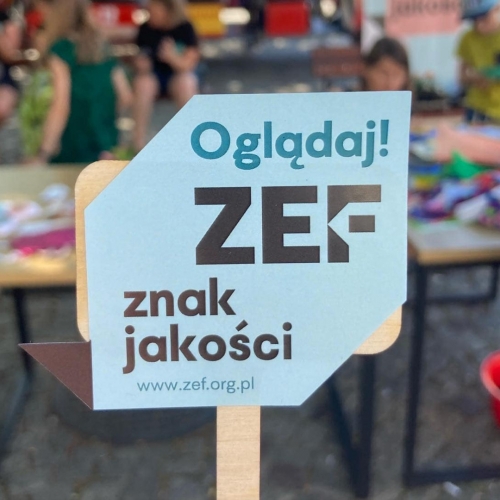 ZEF-screenings-and-workshops-at-the-Festival-in-Sanomierz-11