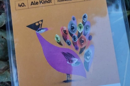 310320904-678318773905539-6695723937512944333-n