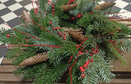 462579399_556699547285707_4034301587239244223_n