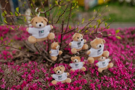 ZEF-akcesoria-DSC-0001