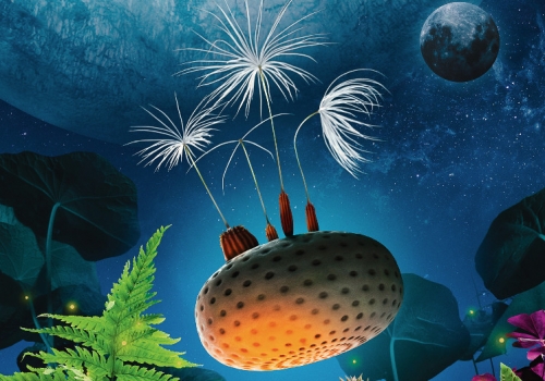 Dmuchawce_B1_ZEF2(1)