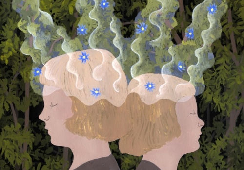 Krol-Macius-pierwszy