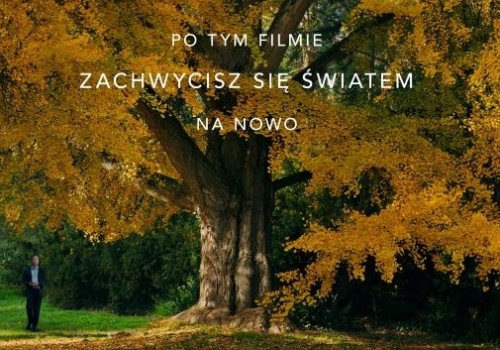 MilczacaPrzyjaciolka_plakat