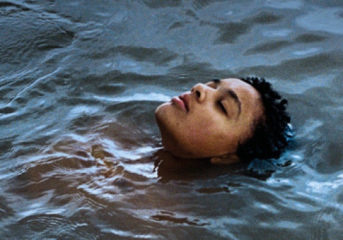 bird-plakat-pl-lq-02