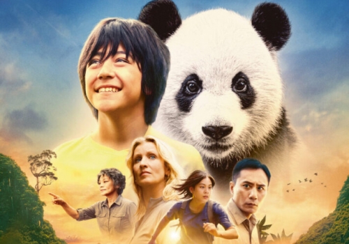 picture-b24-880150-711x1024